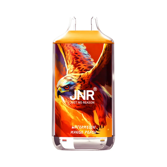JNR Falcon 16000 16K Puffs, Disposable Vape 02