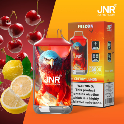JNR Falcon 16000 16K Puffs