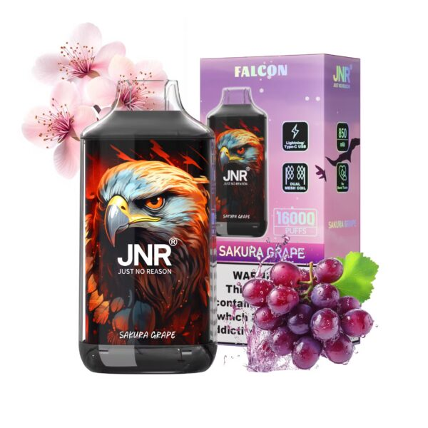 JNR Falcon 16000 16K Puffs, Disposable Vape 07