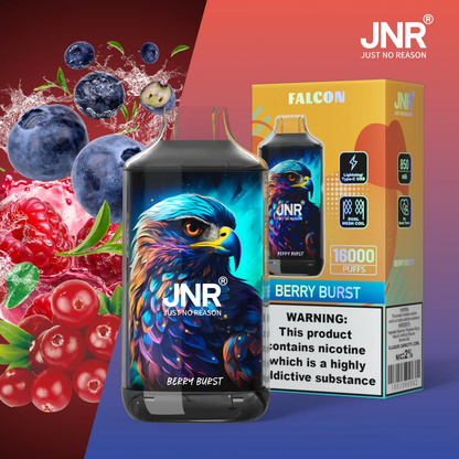 JNR Falcon 16000 FAQS: All You Need to Know