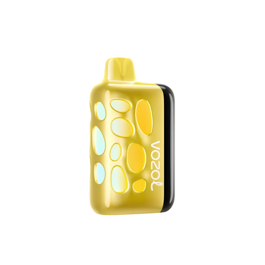 Vozol RAVE 40000 Puffs, 40K Puffs,5% | Disposable Vape 5